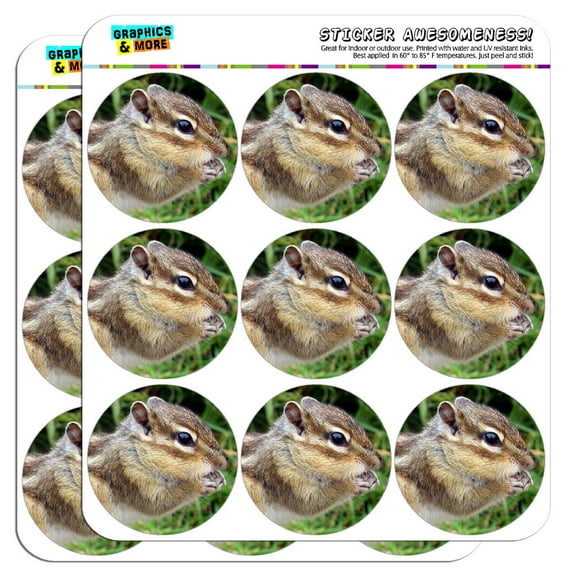 Chipmunk Eating 2" Scrapbooking Crafting Stickers