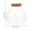thumbnail image 2 of Luxshiny 3Pcs Hydroponic Ecosystem Bottle Terrarium Glass Bottle Transparent for Plant Growing, 2 of 8
