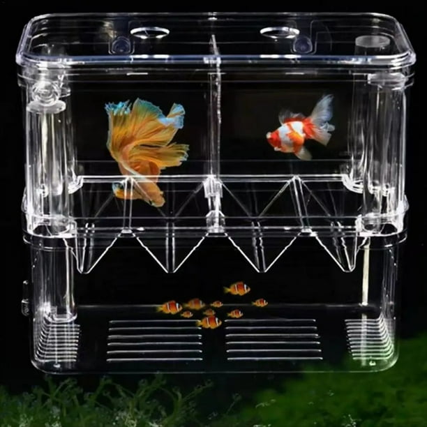 Caja de Cría de Peces Caja de Aislamiento de Tanque de Cría de Acrílico de Doble Capa Caja de Eclosión Desmontable Transparente para Camarones Guppy