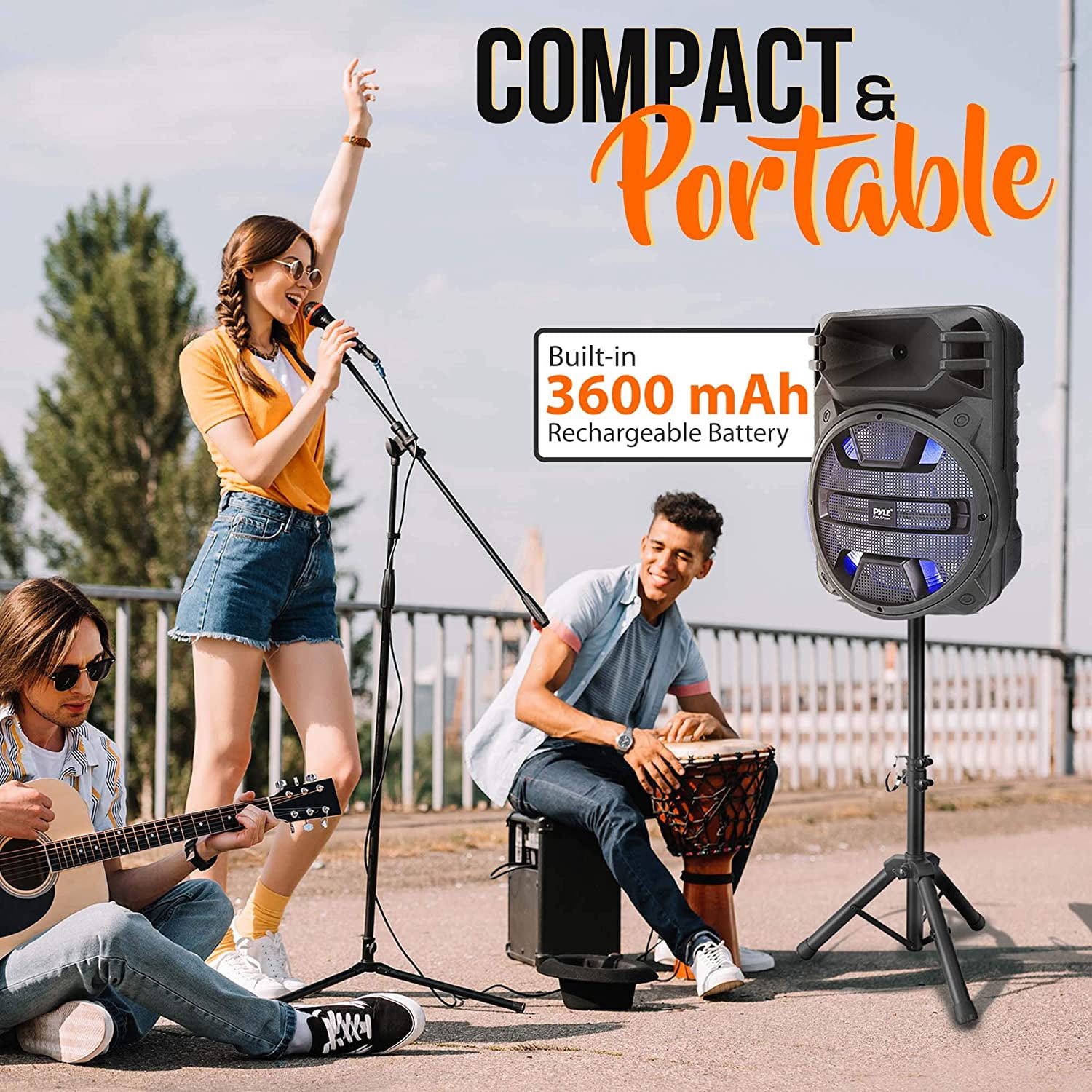Pyle PPHP1243B - 12'' Portable PA Speaker System - Karaoke Speaker with Latest DJ LED Lights, USB/FM/BT/Aux/Remote Control/Mic Inputs, Built-in (800 Watt)