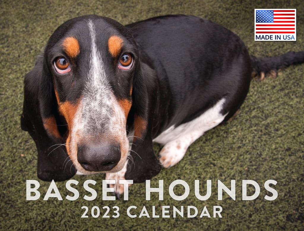 Basset Hound Calendar 2023 Monthly Wall Hanging Calendars Cute Dog