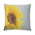 thumbnail image 2 of Ahgly Company Color Focus Yellow Indoor Throw Pillow, 18 inch by 18 inch, 2 of 6