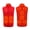 Red womens jacket, variant on Womens Winter Heated Vest Usmixi Womens and Mens Heated Coat Vest Outdoor Lightweight Warm Eletric Heating Jacket Fashion Dandelion Print Sleeveless Outwear Trendy Coats