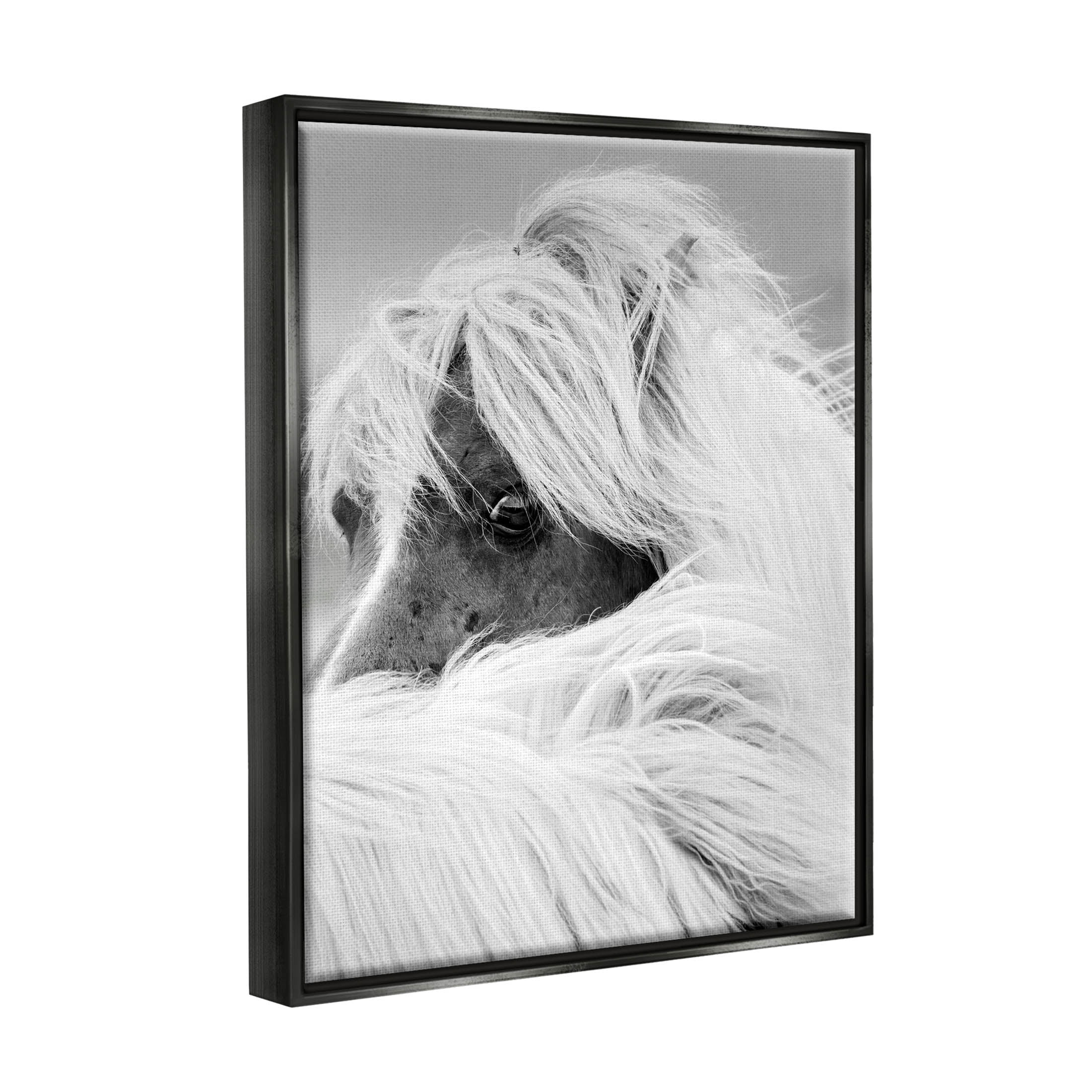 Horse Gazing Windblown Mane Animals & Insects Photograph Jet Black Framed Art Print Wall Art