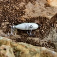 thumbnail image 6 of Heddon Tiny Torpedo Topwater Baby Bass 1 7/8" 1/4 oz., 6 of 9