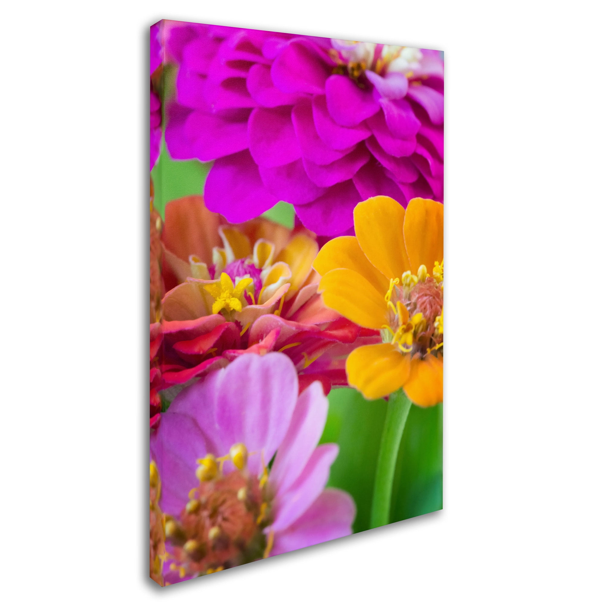 Trademark Fine Art "Boquet of Inias" Canvas Art by Philippe Sainte-Laudy