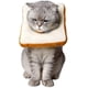 thumbnail image 1 of Adjustable Cat Cone Collar Soft, Cat Recovery Collar, Cute Toast E Collar For Cats After Surgery, Cat Neck Cones To Stop Licking For Cat/kitten/small, 1 of 5