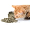 thumbnail image 2 of Catnip de grieta de gato Cat Crack mezcla premium segura para gatos, 2 of 2