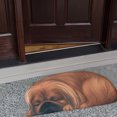 thumbnail image 7 of Aihimol Non Slip Cute Pet Dog Themed Carpet,Welcome Floor Doormat Non Slip Floor Mat Summer Holiday Funny Novelty Door Mats for indoor Outdoor Holiday Decoration 34.25x15.74in, 7 of 7