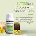 thumbnail image 2 of Aceite esencial Pranarom Helichrysum 100% orgánico puro, 5 ml, 2 of 6