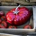 thumbnail image 4 of Staub Cast Iron 3-qt Tomato Cocotte - Cherry, 4 of 10