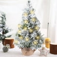 Ikohbadg Mini Christmas Tree with LED Lights, 24Inch/2Foot Snow