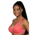 thumbnail image 3 of Sheer Mesh Plunge T-Shirt Bra - Retro Roses, 3 of 28