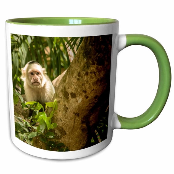3drose, Palo Verde Np, Costa Rica. White-faced Capuchin Monkey., 11oz Two-tone Green Mug