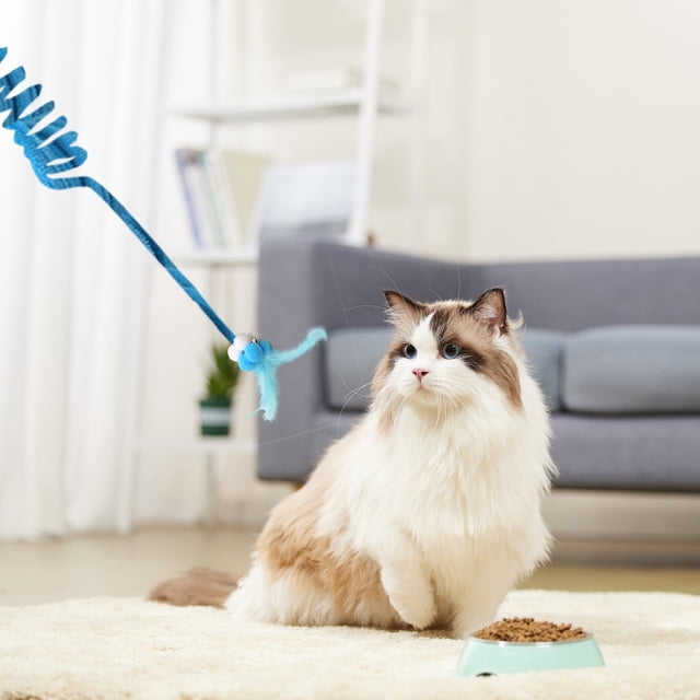 Pelota de juguete con cascabeles para gatos | Juguete interactivo colgante para jugar y hacer ejercicio | Varita de plumas para gatitos y gatos adultos