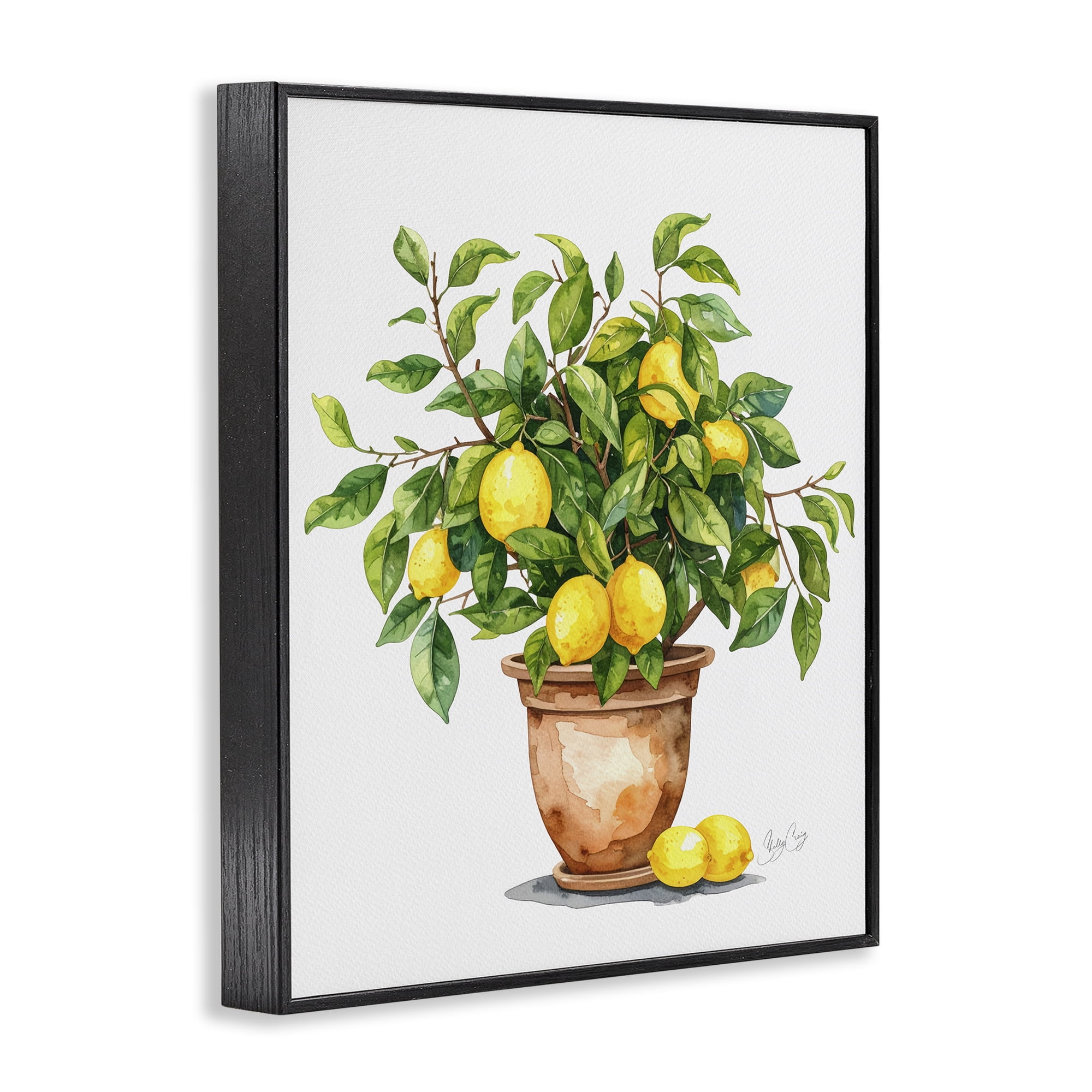 Stupell Industries Potted Lemon Tree Black Framed Giclee Art, design by Shelly Craig