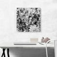 thumbnail image 2 of ARTCANVAS Black Gray White Petals Square Canvas Art Print - Size: 18" x 18" (0.75" Deep), 2 of 9