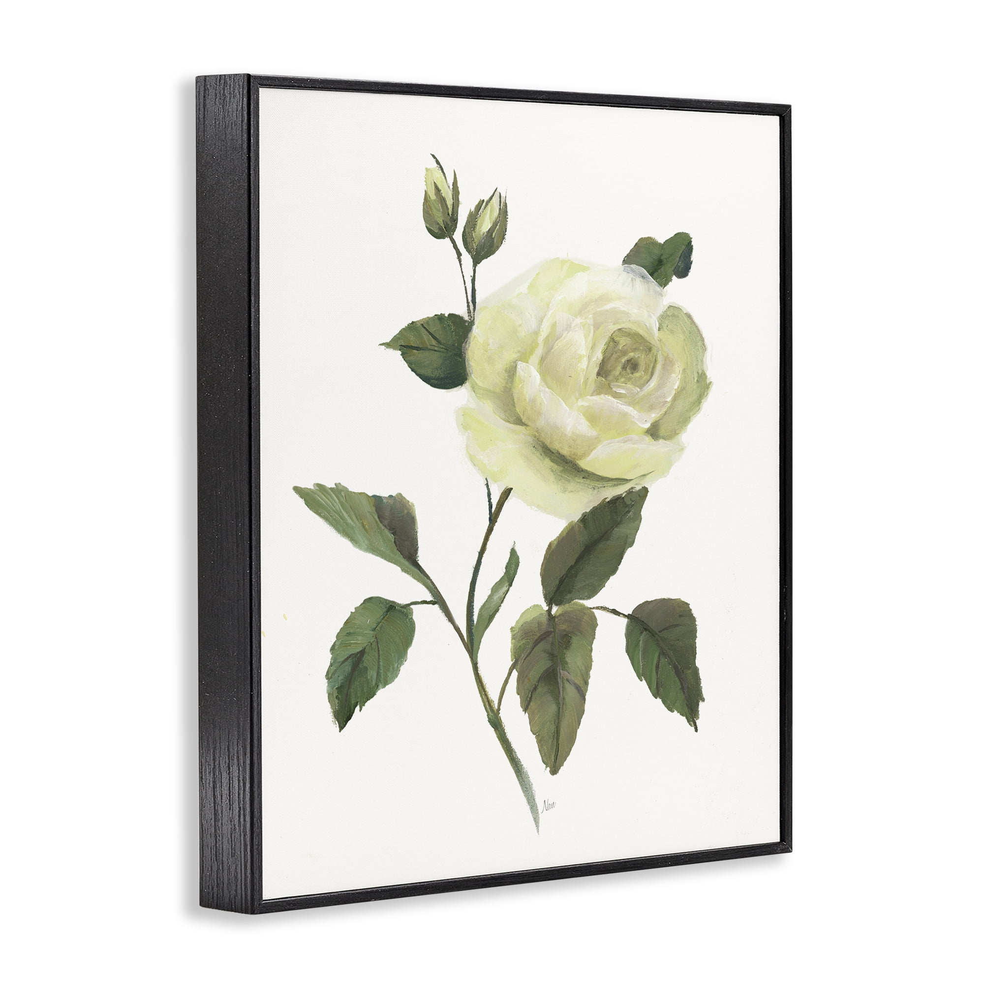 Stupell Industries Cream Garden Rose with Buds Black Framed Giclee Art, design by Nan
