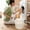 White, variant on Roiihwy Laundry Basket Hip-Hugger Basket, Laundry Storage Space Saving Dirty Clothes Hamper Container for Home Bathroom Dorm, White