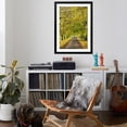 thumbnail image 4 of Art.com Avenue of autumn beech trees with colourful yellow leaves, Newbury, Berkshire, England Photographic Print by Stuart Black, Black Frame Wall Art, 32" x 44", 4 of 5