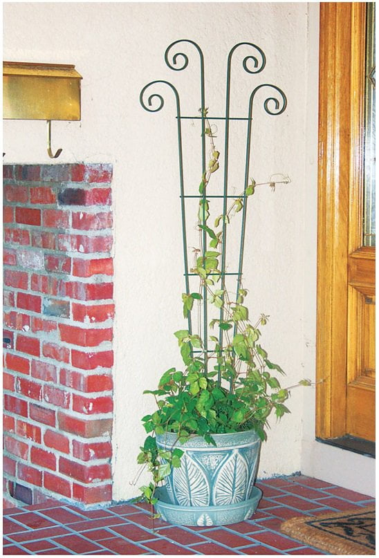 Panacea 89631 Waved Scroll Trellis, 4', Black by Panacea Products