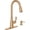 Bronzed Gold, variant on Moen Nolia Bronzed Gold Pull Down Sink Side Spray