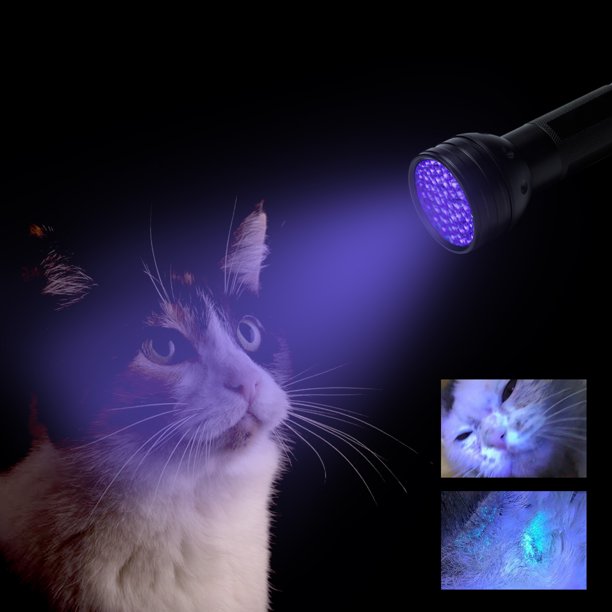 Multipurpose UV Flashlight Black Light LED Ultraviolet Blacklight Urine