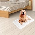 thumbnail image 4 of unbranded Eléctrica Para Mascotas Portátil Con Temperatura Estable Y Materiales Resistentes, 4 of 6
