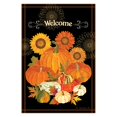 thumbnail image 1 of Toland Home Garden Citrouille Prime 28 x 40 Pouces Automne Décoratif Citrouille Récolte Maison Drapeau, 1 of 1