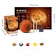 thumbnail image 3 of Juguetes Educativos De Ciencia Para Niños, Kit De Excavación De Piedras Preciosas, Sistema Solar, Ocho Planetas, Explorar Gemas, Kit De Excavación Inevent FN007123-01, 3 of 6