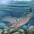 thumbnail image 1 of Tile Mural Bathroom Backsplash - Rainbow Trout-CF - by Cynthie Fisher, 1 of 1