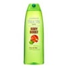 Fructis Body Boost Shampoo Family Sz