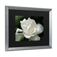 thumbnail image 2 of Trademark Fine Art 'Lovely Gardenia' Canvas Art by Kurt Shaffer, 2 of 4