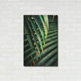 thumbnail image 3 of Luxe Metal Art 'Beauty Amongst Palms 2' by Ashley Aldridge Metal Wall Art, 24"x36", 3 of 7