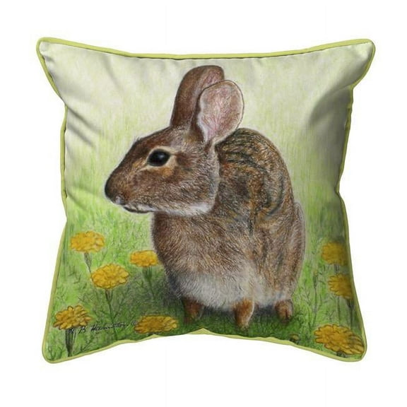 Betsydrake ZP053L 22 x 22 in. Rabbit Extra Large Zippered Indoor & Outdoor Pillow - Large