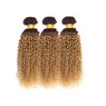 thumbnail image 3 of Hair Bundles Hiaplame Ombre, marrón oscuro, T4/27, rubio, 20-24 pulgadas, 3 of 8