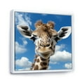 thumbnail image 2 of Designart "Photo Portrait of Majestic Giraffe" Animals Framed Wall Art - Traditional Grey Giraffe Entryway Framed Wall Art Print, 2 of 6
