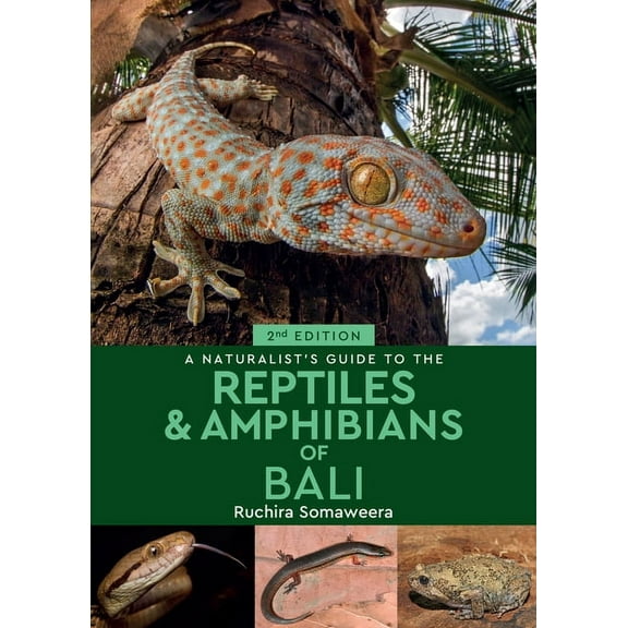 A Naturalist's Guide to the Reptiles & Amphibians of Bali, (Paperback)
