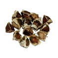 thumbnail image 2 of Morel Distribution Moringa Oleifera Plant Seeds, 2 of 5