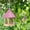 Pink 8Z7, variant on ZZkhGO Bird Feeder, Wooden Hanging Feeder Hexagon Shape, Decorative Garden Feeder Attracting Birds Yard Ornament