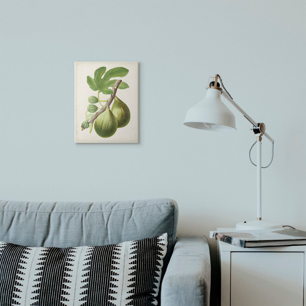 Stupell Industries Vintage Fruit Fig Painting Wall Plaque Art by Vision Studio