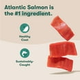 thumbnail image 3 of Jinx Small Breed Sweet Potato, & Carrot Dry Dog Food, Grain Free, 4lb. Bag, 3 of 13