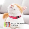 thumbnail image 4 of Luminous Cat Collar [Original] - LED Luminous Cat Collar, Can Work Even in Darkness - High Brightness, Safe (Blue), 4 of 5