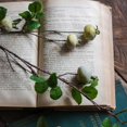 thumbnail image 4 of Artificial Fruit Rose Hip Stem in Green 20" Tall Silk Plant, 4 of 5