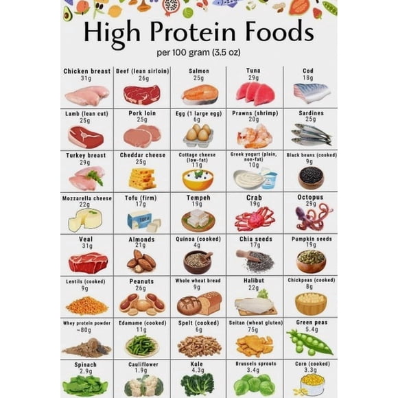 High Protein Food List Poster Educational Nutrition Chart For Muscle Health And Fitness Kitchen Wall Art