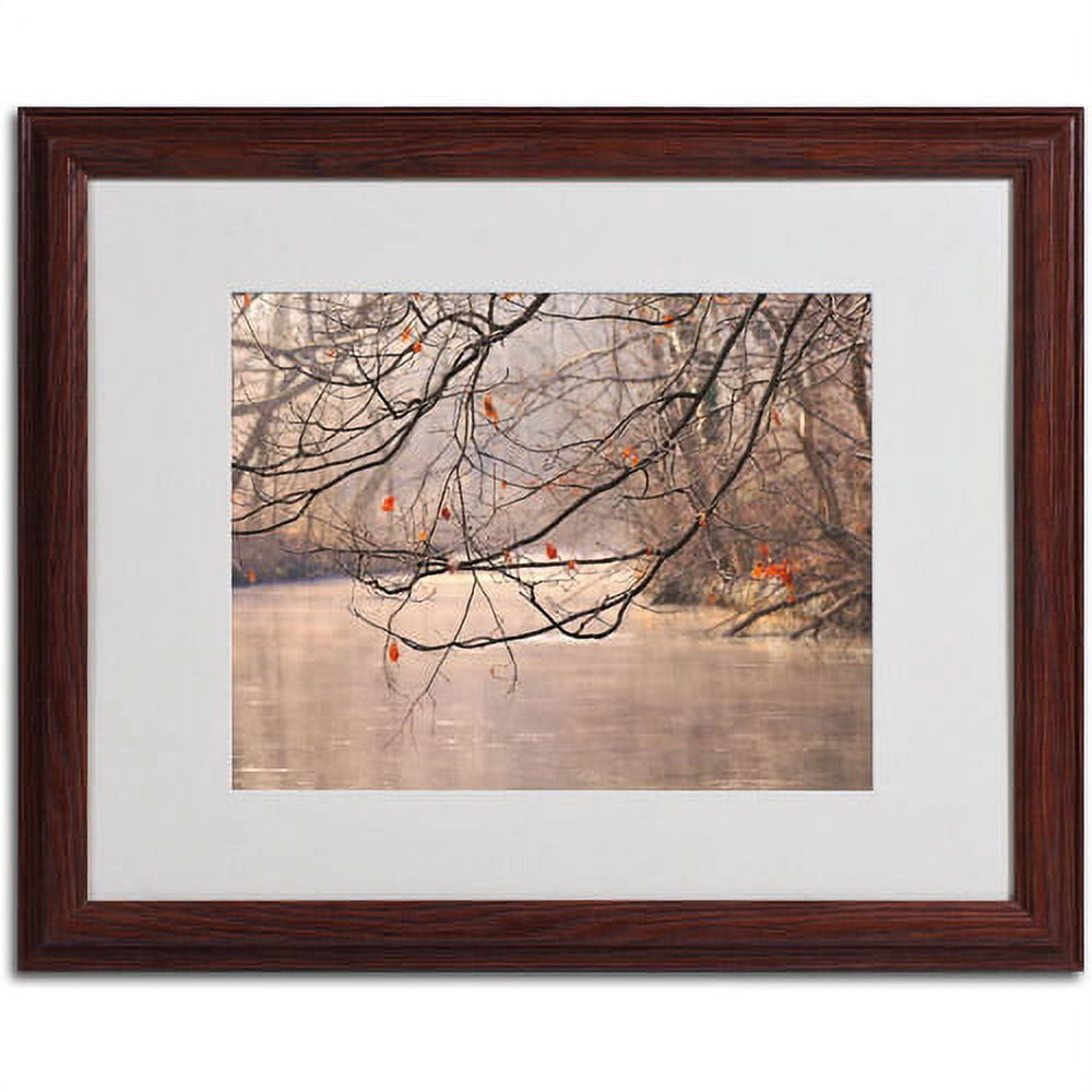 Trademark Fine Art "Skylight" Matted Framed Art by Philippe Sainte-Laudy