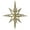 Champagne, variant on Vickerman 12" Red Iridescent Star Christmas Ornament