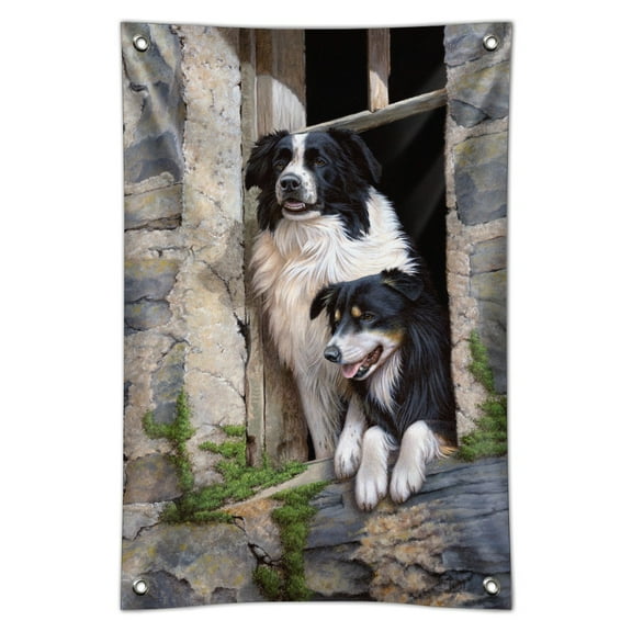 Border Collies Window Dogs Home Business Office Sign