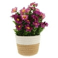 thumbnail image 5 of Aonity Woven Flower Baskets and Artificial Potted Plants, Plastic Household Imitation, Woven Basket Artificial Plants for Home Realistic Style Desktop Room Present Giving Decoration Decor, 5 of 5