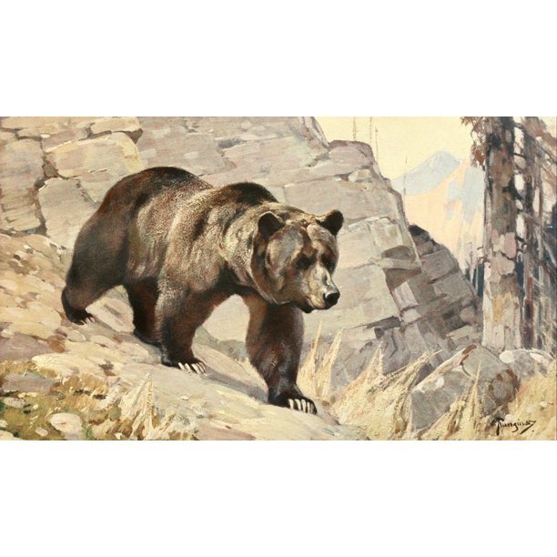 Brehms Tierleben 1911 Grizzly Bear Poster Print By Carl Rungius 24 X 36 Walmart Com Walmart Com